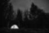 Black and white illuminated camping tent with stars above evergreen trees