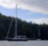 Sailboat with sails down anchored next to an evergreen tree coast