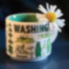 A daisy rests on the edge of a Washington State themed mug